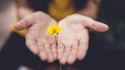 Photo de Lina Trochez qui représente une fleur jaune dans une main. Comme nos valeurs profondes